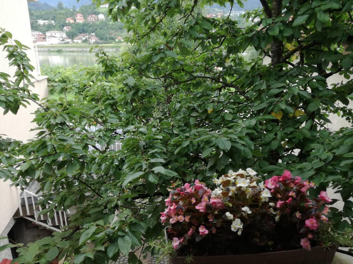 Cherry Flower Visegrad Exterior photo