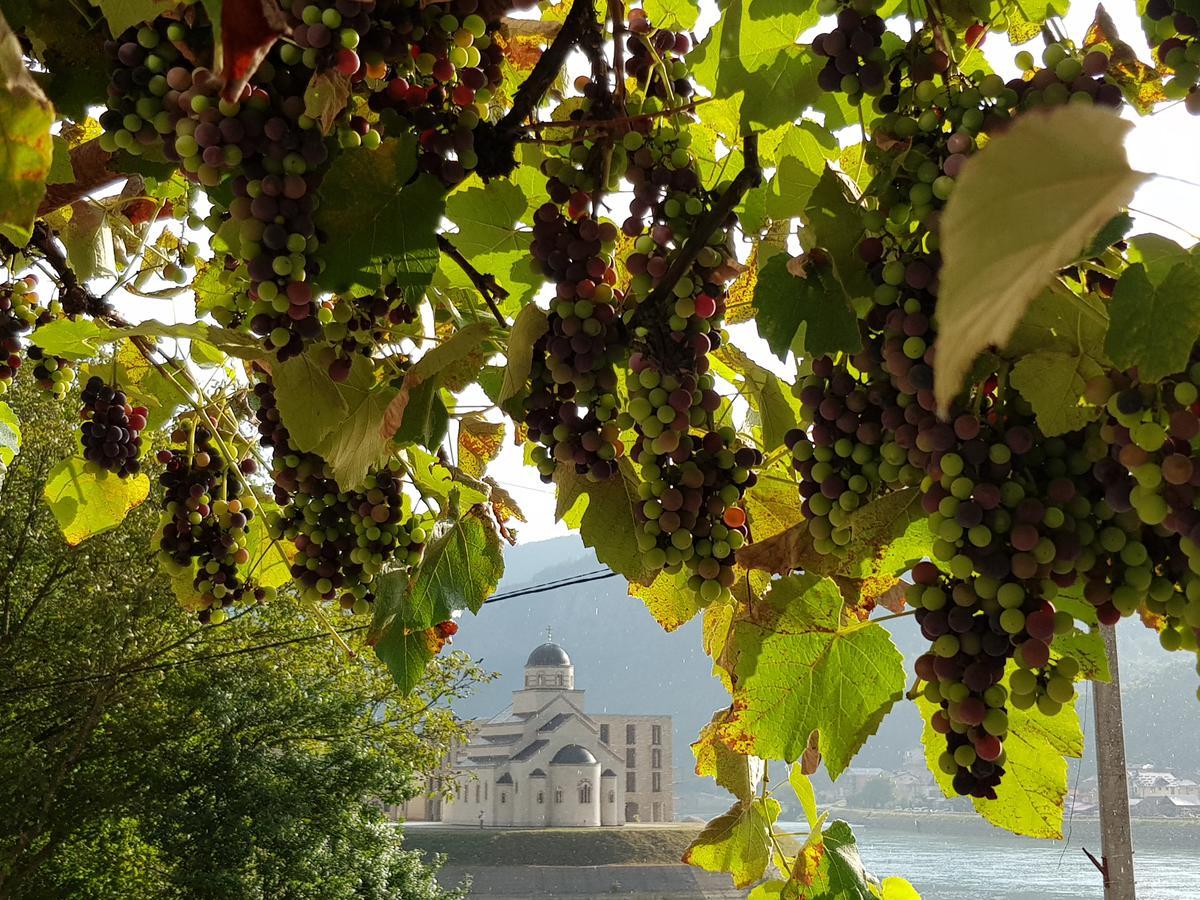 Cherry Flower Visegrad Exterior photo
